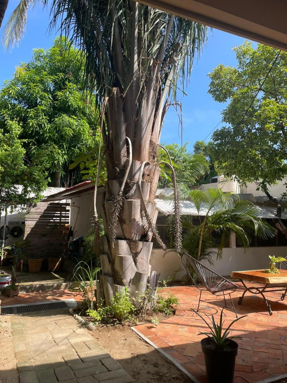 Casa Sixta A 7Min Del Aeropuerto Internacional Pmx Y 2 Cuadras Terminal Autob Ado Hotell Puerto Escondido  Eksteriør bilde